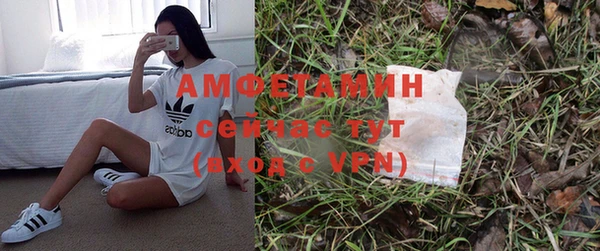 дживик Баксан