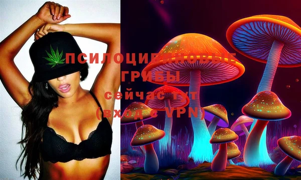 дживик Баксан