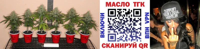 Дистиллят ТГК Wax  Белогорск 